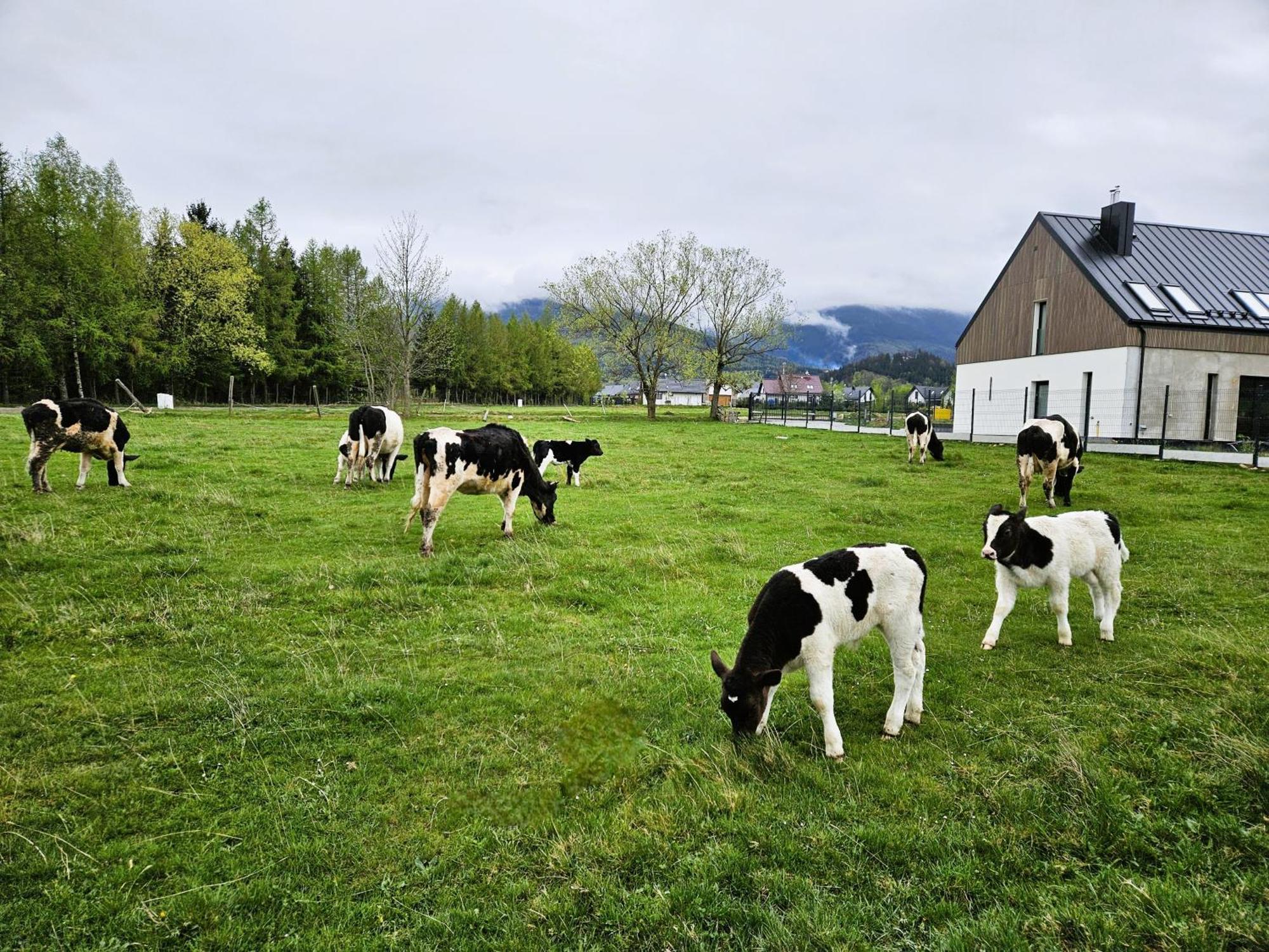 Zacisze W Karkonoszach Karpacz